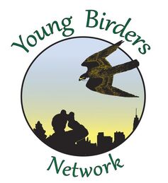 Young Birders Network logo, circle with silhouettes of young birder, trees, and skyline, with a Peregrine Falcon flying over.